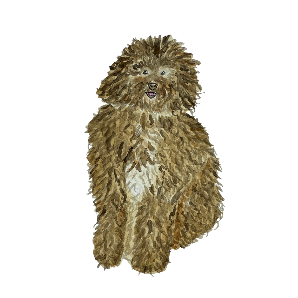 Fluffy Pup Dog Vinyl Sticker