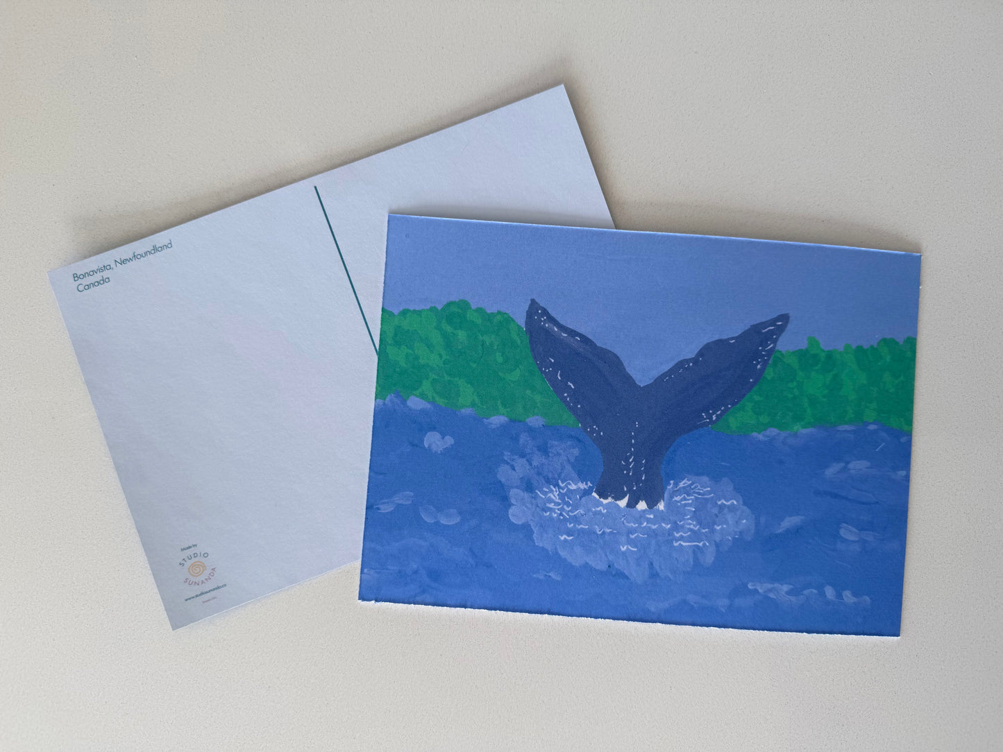 The Newfoundland Collection: Art Prints